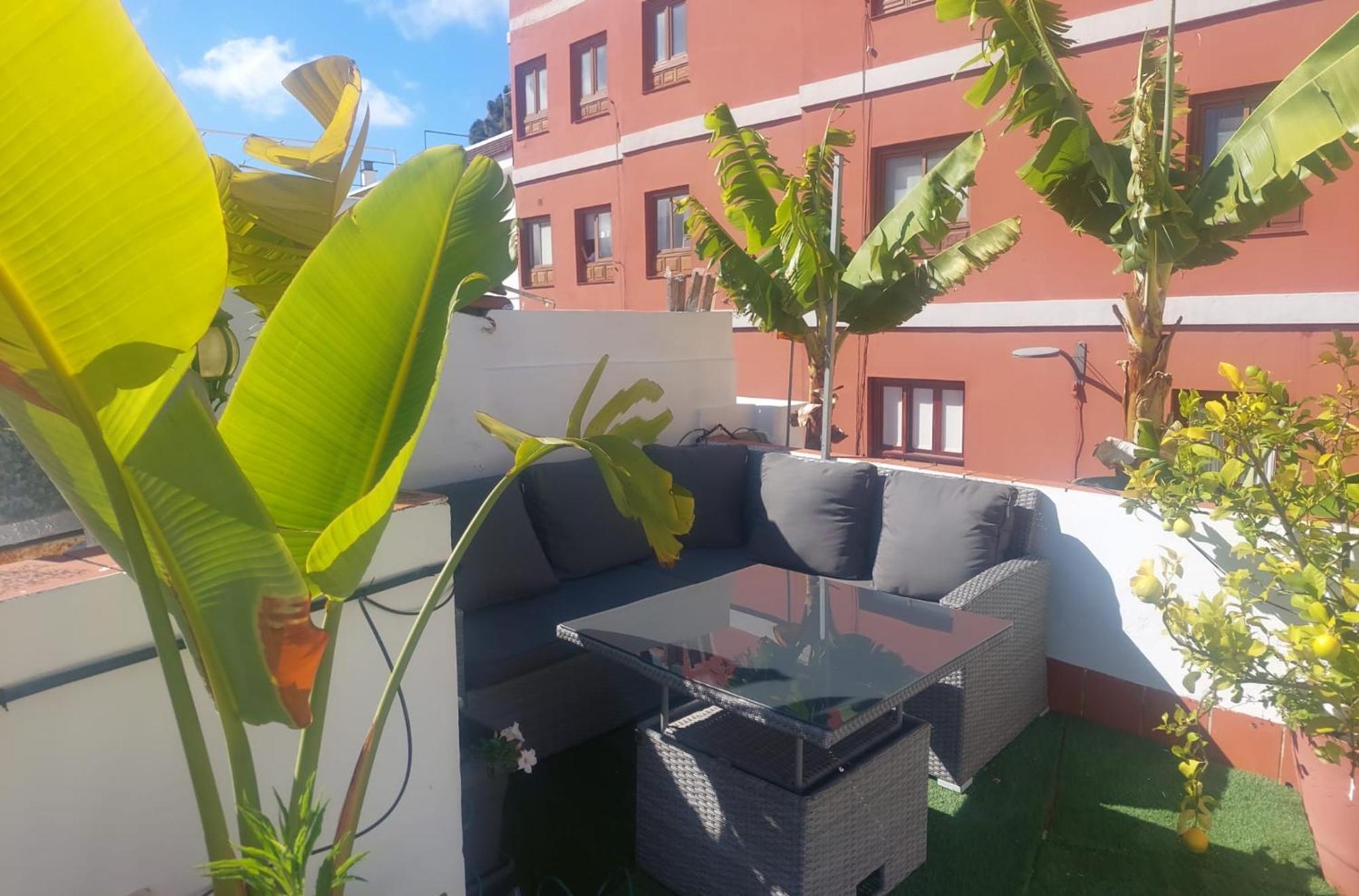 Agradable Casa Con Terraza Lägenhet La Laguna  Exteriör bild